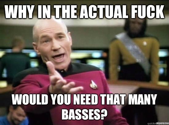 Why in the actual fuck Would you need that many basses?  Annoyed Picard HD
