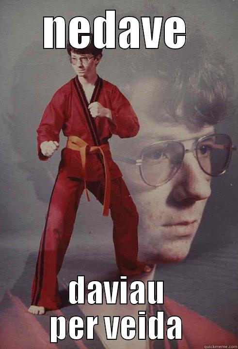 NEDAVE DAVIAU PER VEIDA Karate Kyle