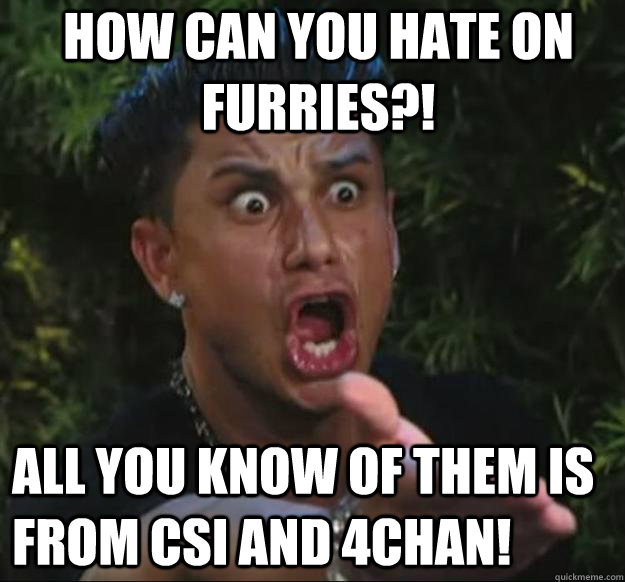 HOW CAN YOU HATE ON FURRIES?! ALL YOU KNOW OF THEM IS FROM CSI AND 4CHAN!  