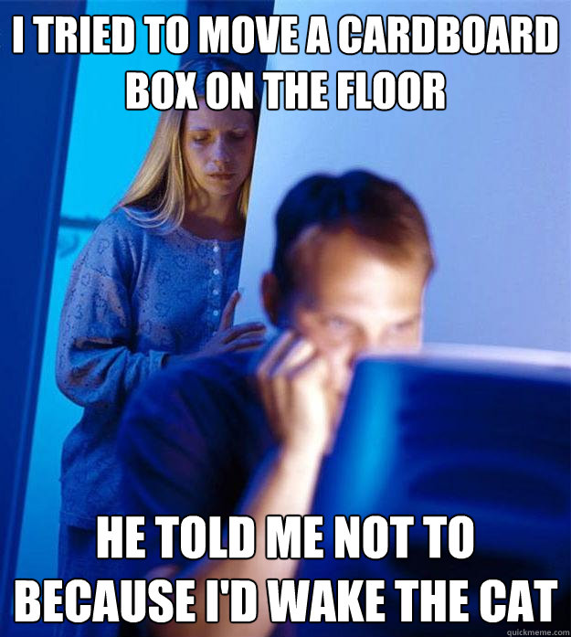I tried to move a cardboard box on the floor He told me not to because I'd wake the cat  Redditors Wife