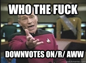 Who the fuck Downvotes on/r/ aww  Annoyed Picard