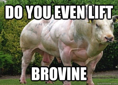Do you even lift brovine - Do you even lift brovine  Brovine Cow