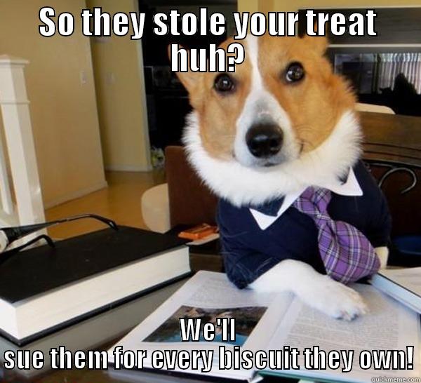 SO THEY STOLE YOUR TREAT HUH? WE'LL SUE THEM FOR EVERY BISCUIT THEY OWN! Lawyer Dog