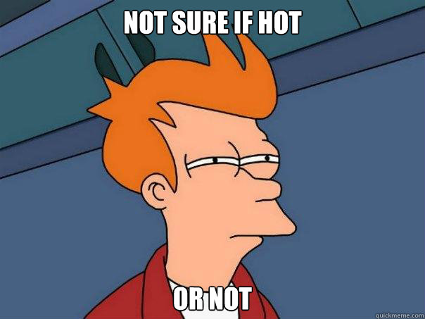 Not sure if hot or not  Futurama Fry