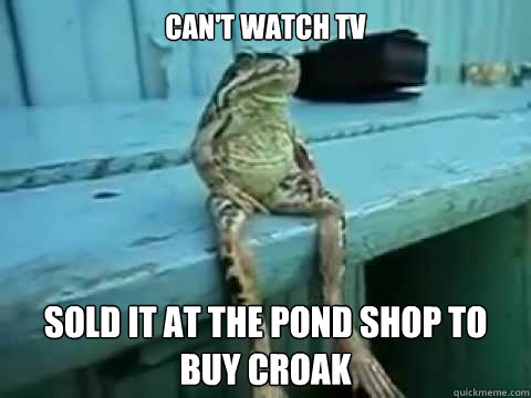 can't watch tv Sold it at the pond shop to buy croak  SITTING FROG