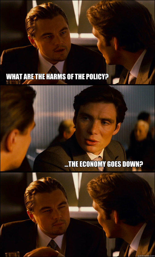 what are the harms of the policy? ...the economy goes down?   Inception