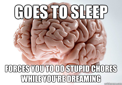 goes to sleep forces you to do stupid chores while you're dreaming  Scumbag Brain