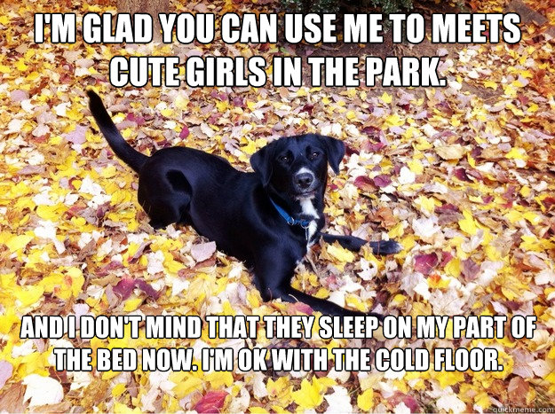 I'm glad you can use me to meets cute girls in the park. And I don't mind that they sleep on my part of the bed now. I'm OK with the cold floor.  Guilt Giving Good Dog
