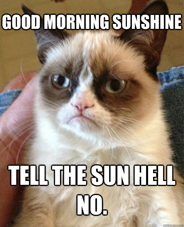 Good morning sunshine Tell the sun hell no. - Good morning sunshine Tell the sun hell no.  Grumpy Cat