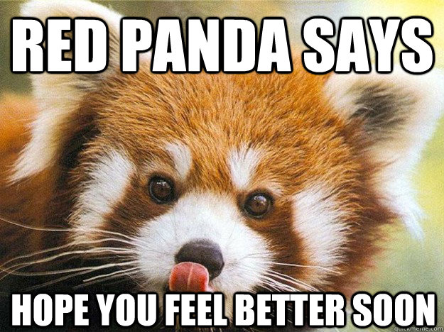 Red Panda says Hope you feel better soon  Red panda