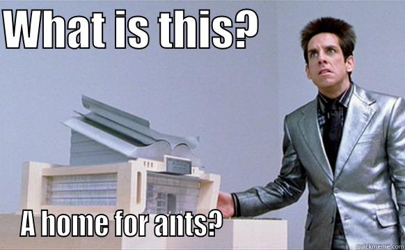 WHAT IS THIS?                  A HOME FOR ANTS?                               Misc
