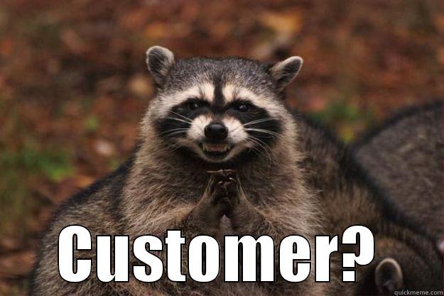   CUSTOMER? Evil Plotting Raccoon