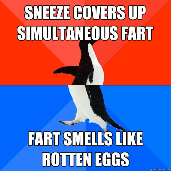 Sneeze covers up 
simultaneous fart fart smells like rotten eggs - Sneeze covers up 
simultaneous fart fart smells like rotten eggs  Socially Awesome Awkward Penguin