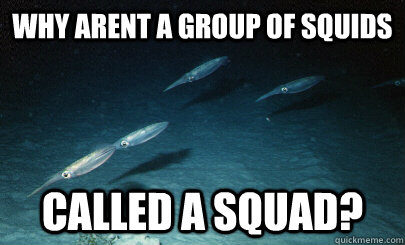 Why arent a group of squids called a squad?  Squid Sguad