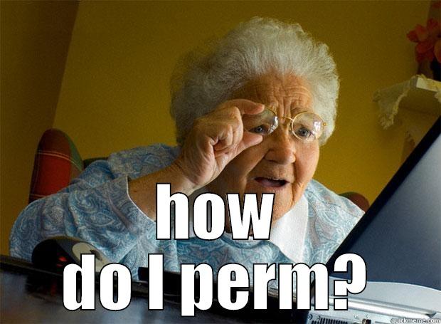 finding the perms -  HOW DO I PERM? Grandma finds the Internet