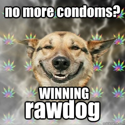 no more condoms? rawdog WINNING  Stoner Dog