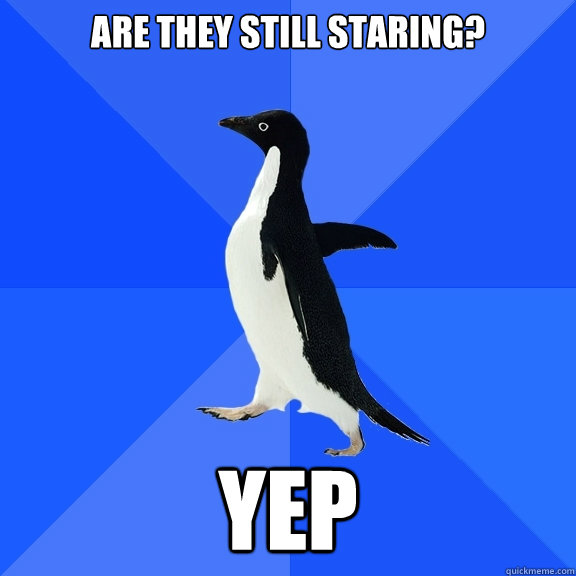 are they still staring? YEP  Socially Awkward Penguin