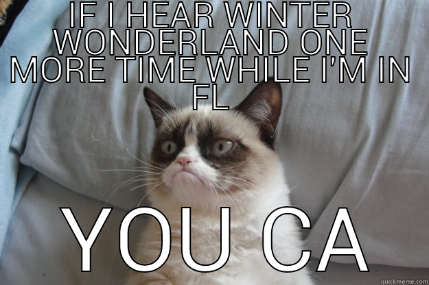 IF I HEAR WINTER WONDERLAND ONE MORE TIME WHILE I'M IN FL  YOU CA Grumpy Cat