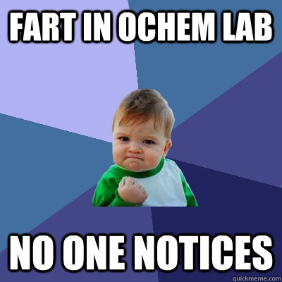 fart in ochem lab no one notices  Success Kid