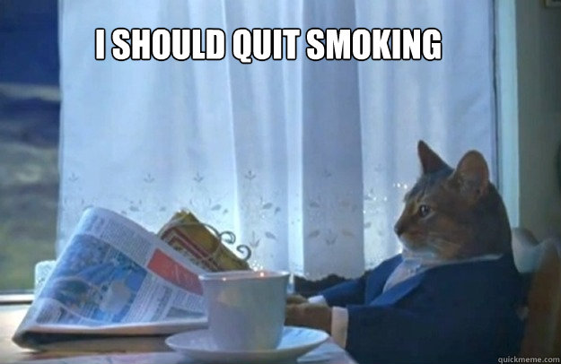 I should quit smoking   Sophisticated Cat