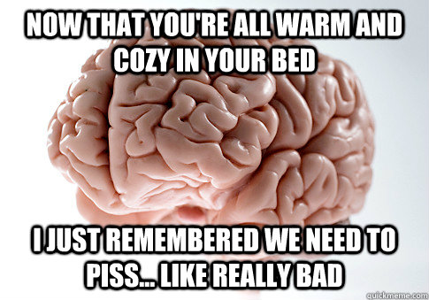 Now that you're all warm and cozy in your bed I just remembered we need to piss... like really bad  ScumbagBrain