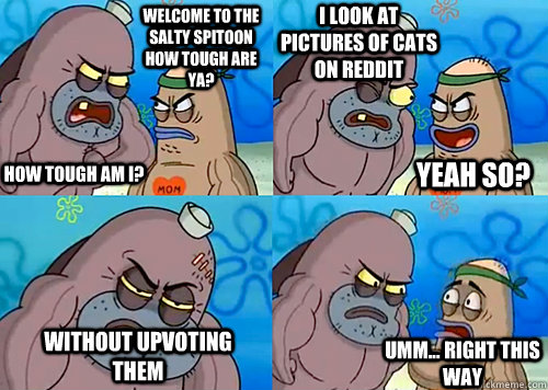 Welcome to the Salty Spitoon how tough are ya? HOW TOUGH AM I? I look at pictures of cats on reddit without upvoting them Umm... Right this way Yeah so?  Salty Spitoon How Tough Are Ya