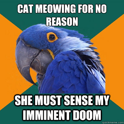 Cat meowing for no reason she must sense my imminent doom  Paranoid Parrot