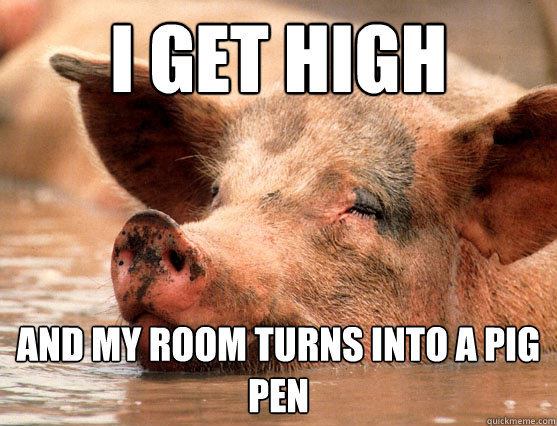 i get high and my room turns into a pig pen  Stoner Pig