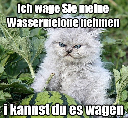 Ich wage Sie meine Wassermelone nehmen i kannst du es wagen  