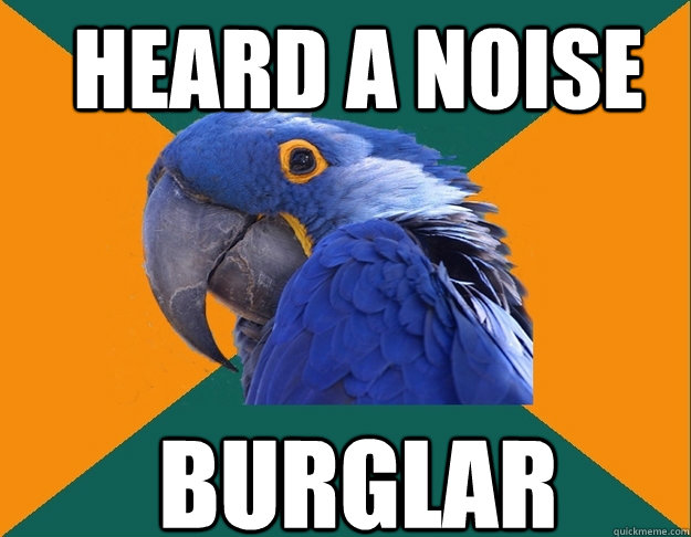 heard a noise burglar - heard a noise burglar  Paranoid Parrot
