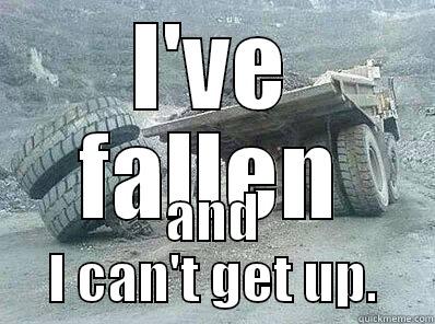 I'VE FALLEN AND I CAN'T GET UP. Misc