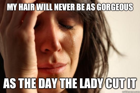 My hair will never be as gorgeous as the day the lady cut it  First World Problems