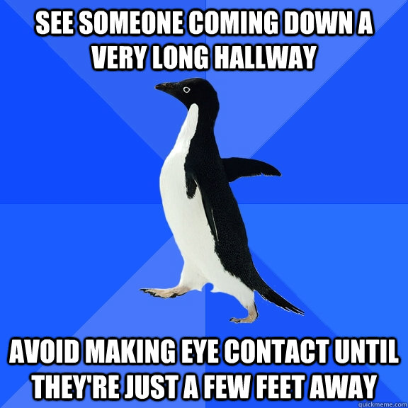 See someone coming down a very long hallway Avoid making eye contact until they're just a few feet away  Socially Awkward Penguin