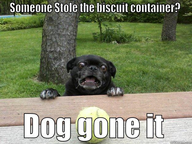 Hey There! - SOMEONE STOLE THE BISCUIT CONTAINER? DOG GONE IT Berks Dog