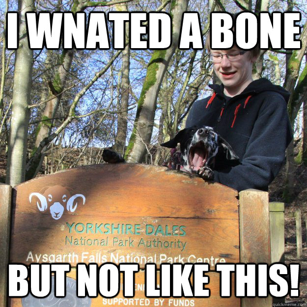 I wnated a bone  But not like this!  Give the dog a bone