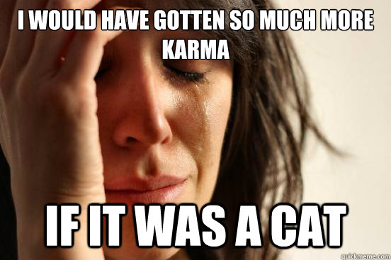 I would have gotten so much more karma if it was a cat  First World Problems