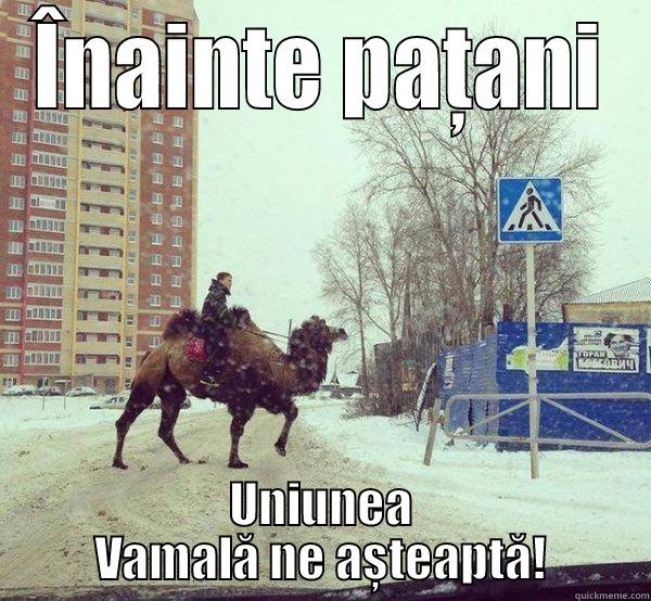 ÎNAINTE PAȚANI UNIUNEA VAMALĂ NE AȘTEAPTĂ! Misc
