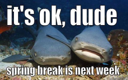 SPRING BREAK - IT'S OK, DUDE SPRING BREAK IS NEXT WEEK Compassionate Shark Friend