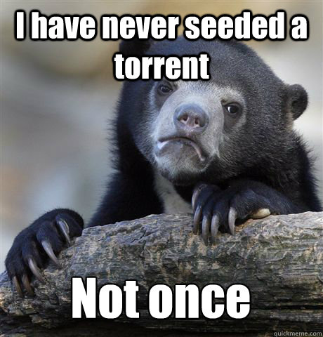 I have never seeded a torrent Not once  Confession Bear