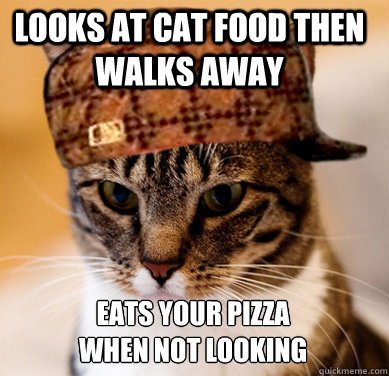 Looks at cat food then walks away Eats your pizza when not looking  Scumbag Cat