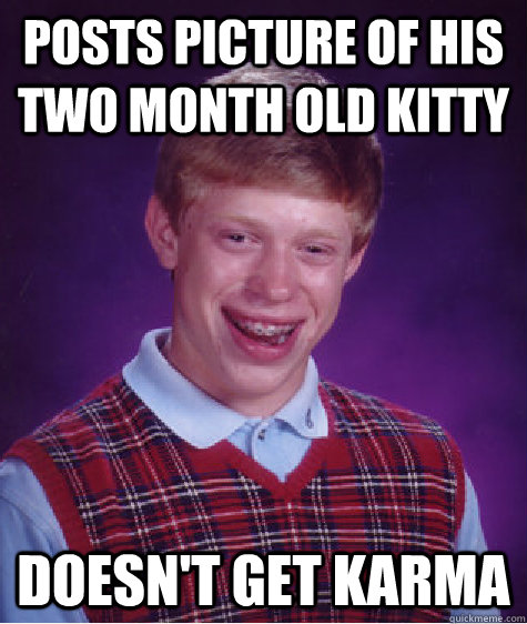 Posts picture of his two month old kitty doesn't get karma - Posts picture of his two month old kitty doesn't get karma  Bad Luck Brian