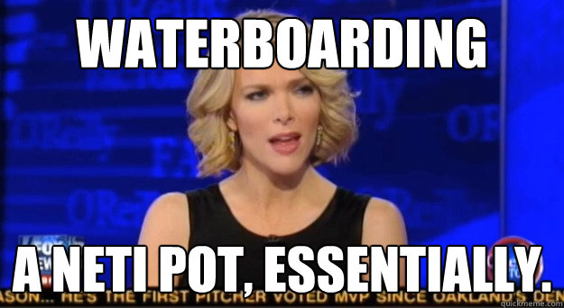 Waterboarding A Neti Pot, essentially.  Megyn spins everything