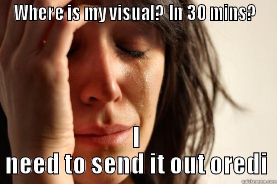 WHERE IS MY VISUAL? IN 30 MINS?  I NEED TO SEND IT OUT OREDI First World Problems