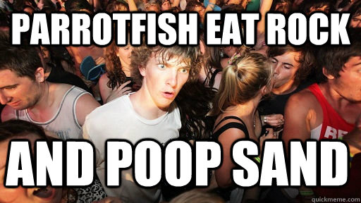 Parrotfish eat rock and poop sand  Sudden Clarity Clarence