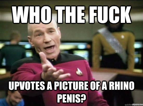 Who the fuck upvotes a picture of a rhino penis? - Who the fuck upvotes a picture of a rhino penis?  Annoyed Picard HD