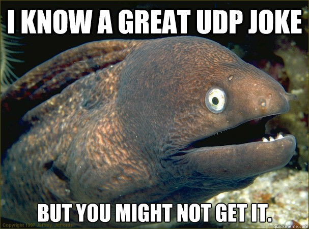 i know a great udp joke but you might not get it. - i know a great udp joke but you might not get it.  Bad Joke Eel