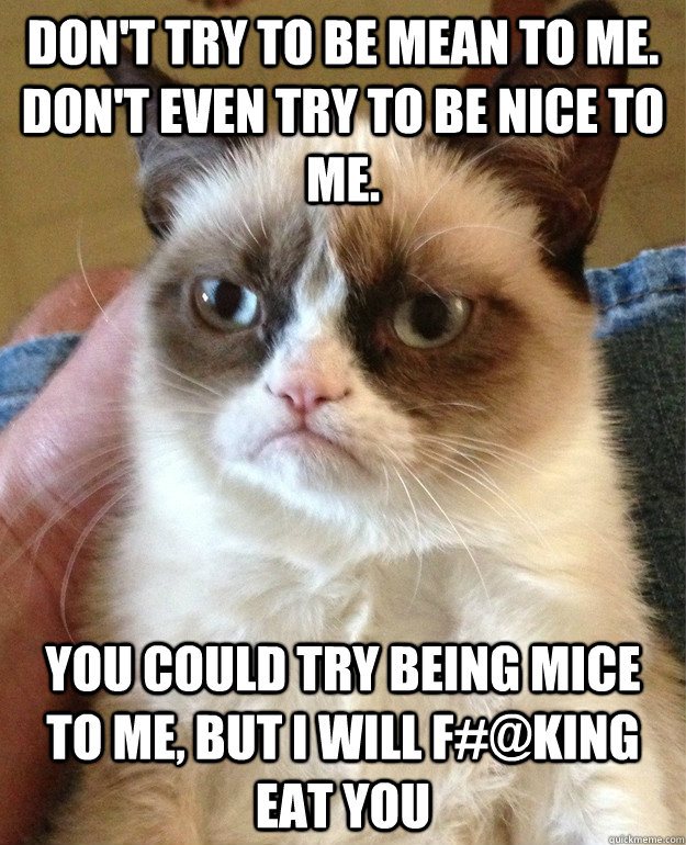 Don't try to be mean to me. Don't even try to be nice to me.  You could try being Mice to me, but I will f#@king eat you - Don't try to be mean to me. Don't even try to be nice to me.  You could try being Mice to me, but I will f#@king eat you  cat had fun once