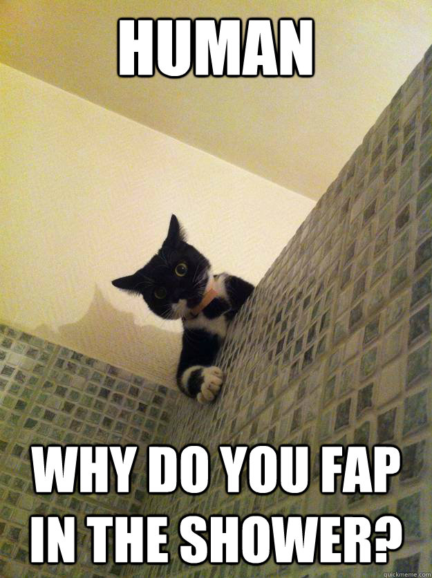human Why do you fap in the shower? - human Why do you fap in the shower?  Incredulous Cat