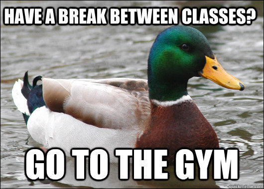 Have a break between classes? go to the gym  Actual Advice Mallard