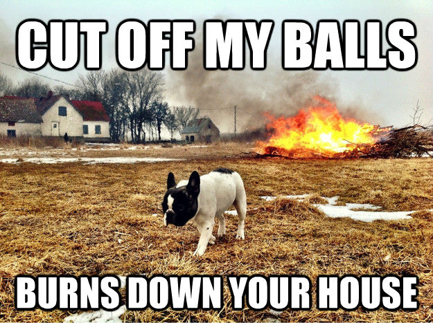 CUT OFF MY BALLS BURNS DOWN YOUR HOUSE  untitled meme